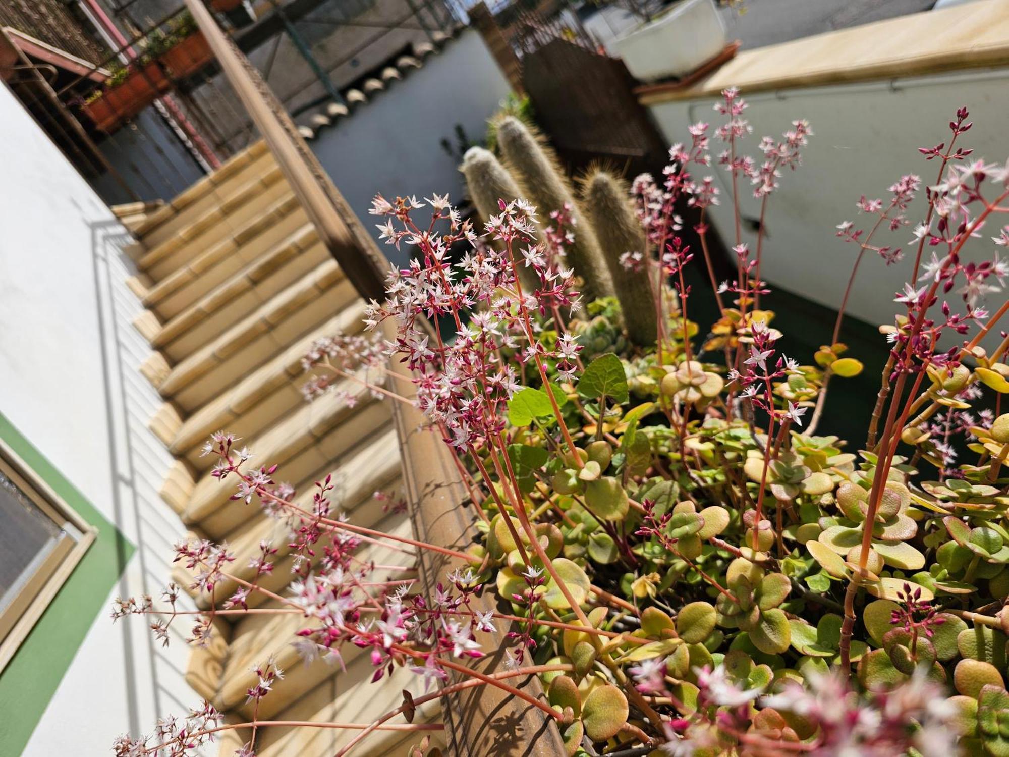 Casa Serena Serdiana ภายนอก รูปภาพ